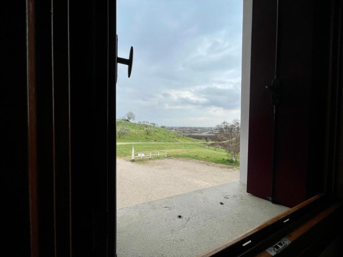 Agriturismo Vecio Portico 马洛斯蒂卡 外观 照片